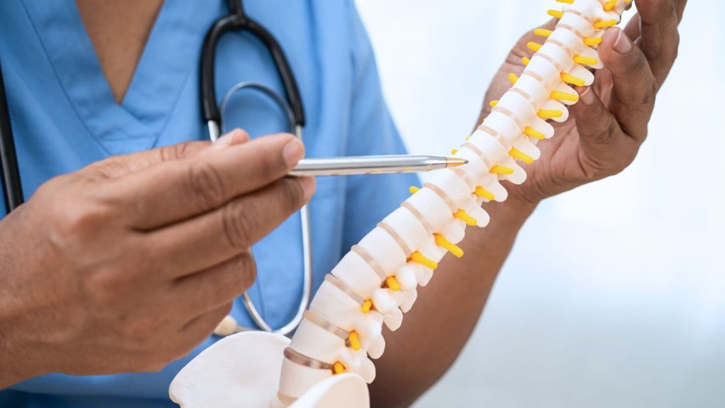 World Spinal Cord Injury 2025